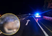 Familiares identifican a víctima localizada con huellas de violencia en Acayucan