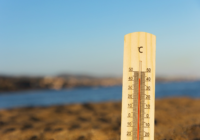 Emite IMSS Veracruz Sur recomendaciones a trabajadores ante ola de calor