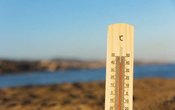Emite IMSS Veracruz Sur recomendaciones a trabajadores ante ola de calor