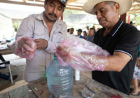 Minatitlán fortalece al sector ganadero con acciones preventivas