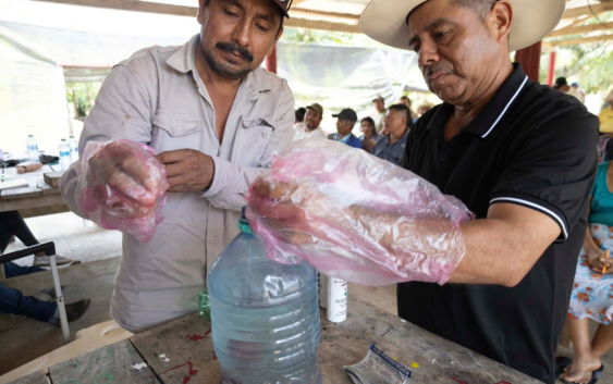 Minatitlán fortalece al sector ganadero con acciones preventivas