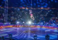 Familias de Cosoleacaque y sus alrededores disfrutan al máximo el espectáculo del Circo Chino de Pekín