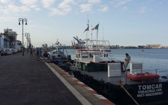 “No sólo es Mahahual”: ambientalistas de Veracruz defienden arrecife La Gallega