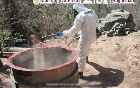 Localizan e inhabilitan tres laboratorios clandestinos en Sinaloa