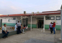 Una nauyaca sacó de su escondite a homicida de autodefensas en Las Choapas