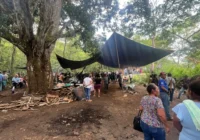 Mecayapan recibirá basura de Soteapan mientras autorizan nuevo relleno sanitario