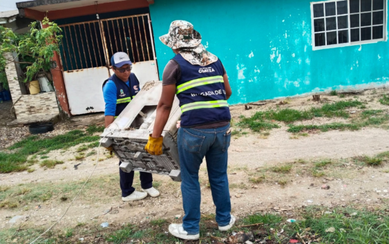 Retiran 322 toneladas de criaderos potenciales y más de 2 mil llantas en jornada contra el dengue en Coatzacoalcos