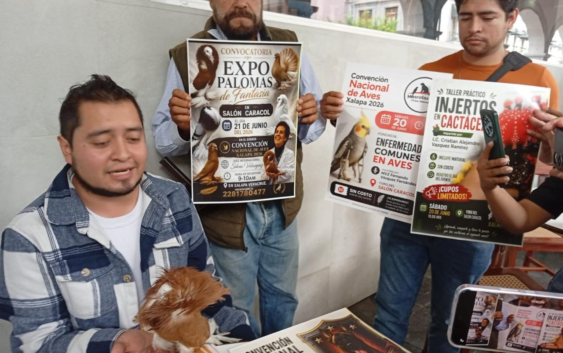 Xalapa será sede de la Primera edición de la Competencia Nacional de Aves durante los días 20 y 21 de junio