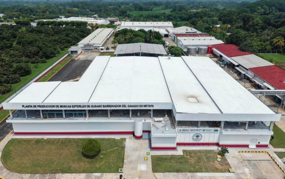 Inaguración de la planta de moscas estériles en Chiapas