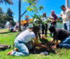 Jornada de reforestación con nombres de desaparecidos para la memoria colectiva
