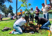 Jornada de reforestación con nombres de desaparecidos para la memoria colectiva