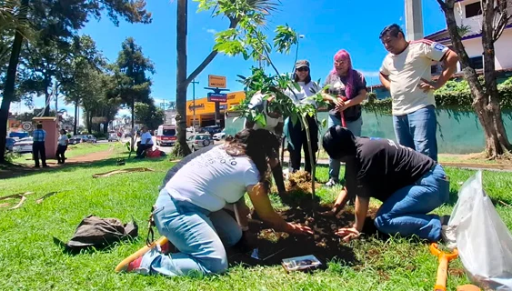 Jornada de reforestación con nombres de desaparecidos para la memoria colectiva