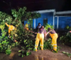 Protección Civil atiende eventualidades ante la presencia de fuertes lluvias