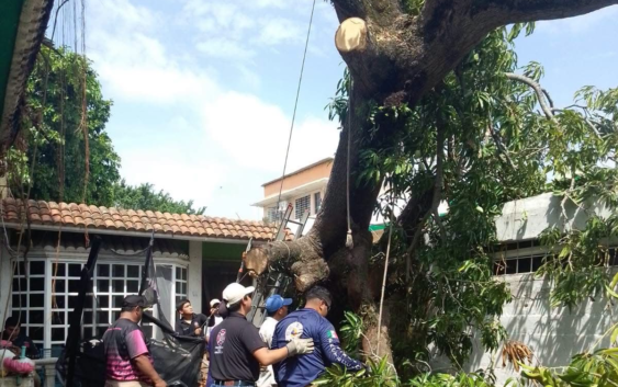 Gobierno de Minatitlán atiende los efectos de las lluvias
