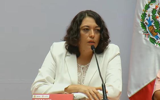 13 municipios afectados por el temporal: Guadalupe Maldonado Osorno