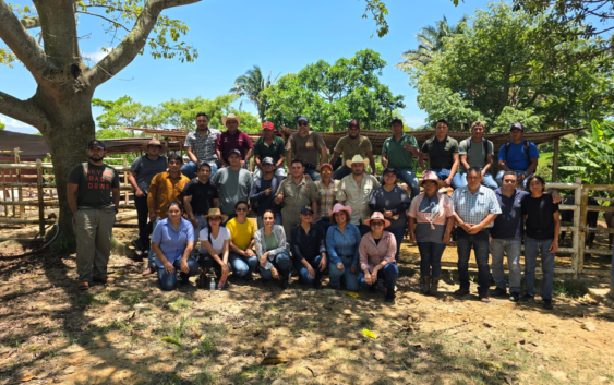 Impulsa Gobierno de Coatzacoalcos el mejoramiento del hato ganadero con capacitación y entrega de genética de alta calidad