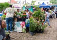 Da inicio el Mercado de las Flores en Minatitlán Da inicio el Mercado de las Flores en Minatitlán