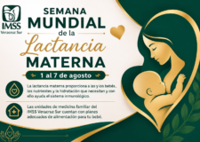 Promueve IMSS Veracruz Surla Lactancia Materna